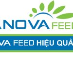 CÔNG TY CỔ PHẦN ANOVA FEED